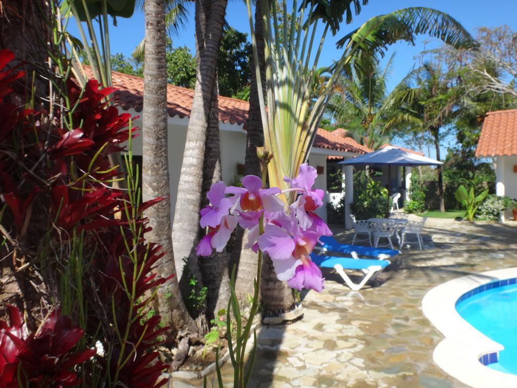 Garden By The Sea Bed & Breakfast Sosúa Eksteriør bilde